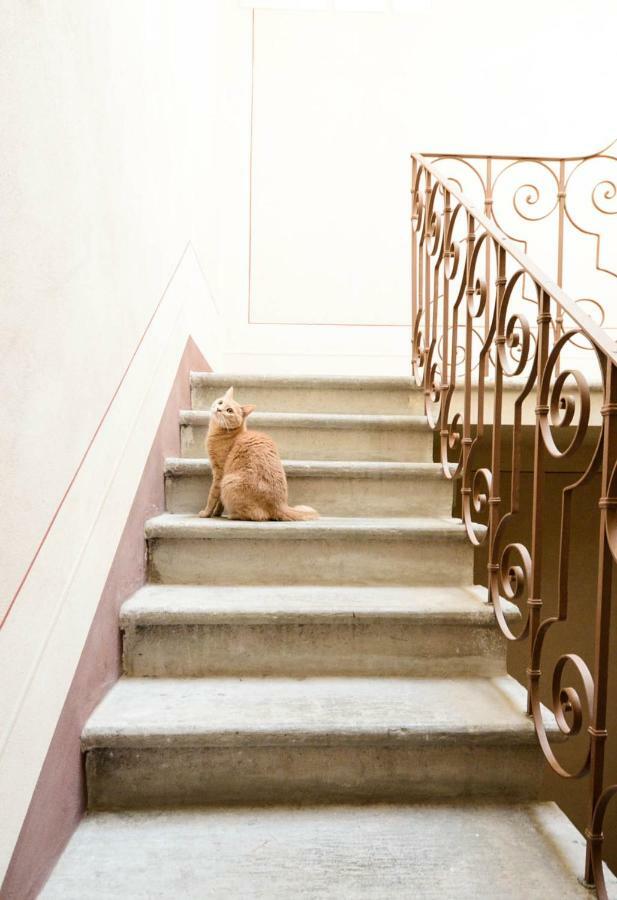 Charme Con Parcheggio Apartman Lucca Kültér fotó